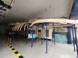 Blind Test Kamera Galaxy S22 Ultra Vs iPhone 13 Pro, Suka Mana?