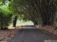 Test Kamera S22 vs iPhone
