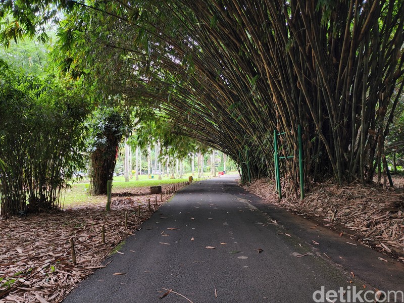 Test Kamera S22 vs iPhone