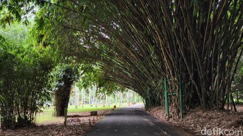 Foto kanan. Foto: Adi Fida Rahman/detikINET