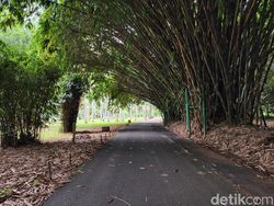 Blind Test Kamera Galaxy S22 Ultra Vs iPhone 13 Pro, Suka Mana?