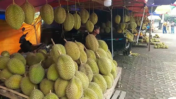 Viral penjual durian kosong yang menjajakan durian di area Masjid Cheng Hoo Pasuruan