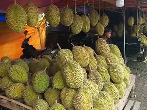 Pasar Wisata Cheng Hoo Kini Sepi Dampak Viral Durian Zonk