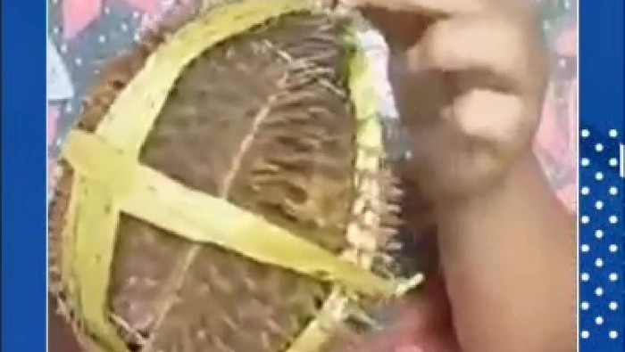 Viral penjual durian kosong yang menjajakan durian di area Masjid Cheng Hoo Pasuruan