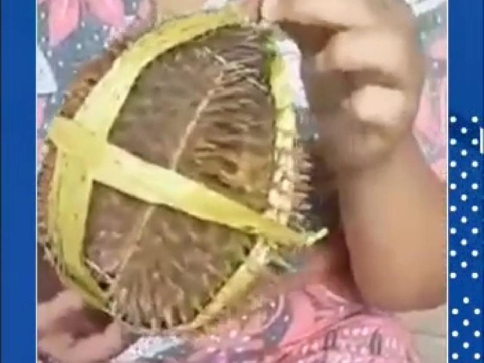 Viral penjual durian kosong yang menjajakan durian di area Masjid Cheng Hoo Pasuruan