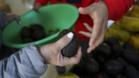 Pemerintah AS melarang impor alpukat setelah petugas inspeksi AS menerima ancaman saat melawat ke Meksiko. Pemerintah Meksiko santai mendengar larangan impor tersebut dan tidak ingin membesar-besarkan.