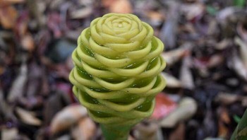 Karya alam. Foto: Boredpanda