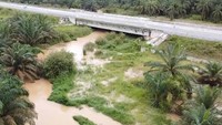 Sementara itu diketahui, jalur lintasan gajah berada di Km 72 yang tidak jauh dari lokasi gajah melintas.