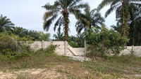 Mahfud pun menyebut gajah yang melintas itu adalah gajah jantan. Gajah tersebut memang rutin melintas di lokasi setiap tiga bulan dari kantong gajah di Giam Siak Kecil menuju kantong Balai Raja.