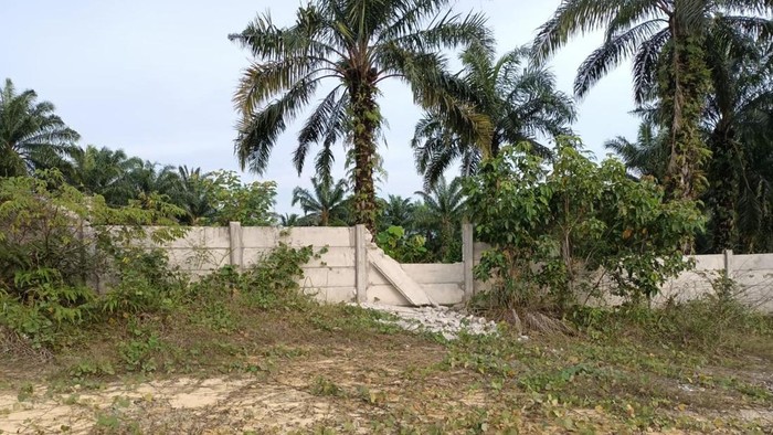 Geger Gajah Masuk Tol Pekanbaru-Dumai, Ini Penyebabnya Seekor gajah terekam kamera warga saat menyeberang di Km 73 ruas Tol Pekanbaru-Dumai. Kabid Teknis Balai BKSDA Riau pun ungkap penyebab gajah itu masuk tol.