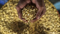 Produksi tahu dan tempe di Indonesia memang bergantung pada kedelai impor. Menurut Ketua Umum Gabungan Koperasi Produsen Tempe Tahu (Gakoptindo) Aip Syarifuddin 90% kebutuhan kedelai untuk produksi tempe dan tahu dipenuhi dari kedelai impor.