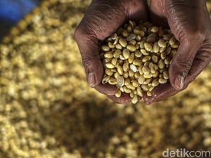 Harga Kedelai Diprediksi Turun Juni, Tapi Perang Rusia-Ukraina Bikin Waswas
