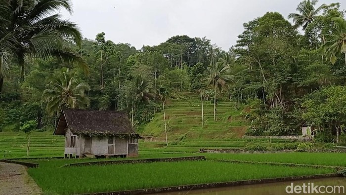 Mengenal Rumah Kampung Naga Arsitektur Hingga Fungsinya