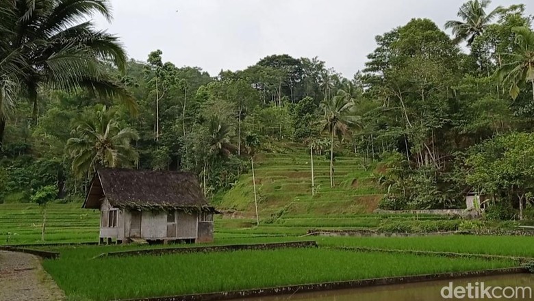 Kampung Naga, Kabupaten Tasikmalaya Kampung Naga, Kabupaten Tasikmalaya