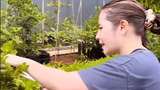 Cerita Prilly Latuconsina Punya Kebun Sayur dan Buah