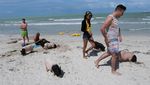 Sensasi Berwisata di Pantai Babi Meksiko