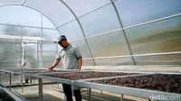 Kopi tersebut merupakan jenis arabica yang diproduksi Mahkota Java Coffee, Kecamatan Bayongbong, Kabupaten Garut.
