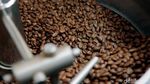 Terbaik di Asia, Kopi Garut Siap Tembus Pasar Italia