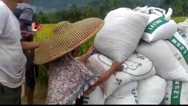 Enam desa di Kabupaten Lebak, Banten, terdampak bencana alam berupa banjir, longsor, dan tanah amblas. Rumah hingga sawah rusak akibat bencana alam ini. (dok Istimewa)