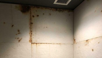 Ini bukan karatan tapi desainnya memang seperti ini. Foto: Boredpanda