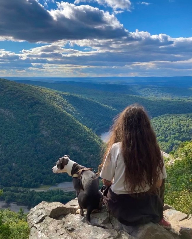 Meski tidak keramas dengan sampo ternyata rutinitas rambut Laura cukup banyak. Sekarang, rutinitas rambutku adalah menyisirnya sebelum mandi. Aku mandi dan mencuci rambut dengan tangan dan air, memijat kulit kepala untuk menstimulasinya lalu menyisir dengan sisir bergigi jarang. Setelah keluar, aku membungkus rambut dengan handuk selama satu setengah jam lalu memakai minyak argan atau rosemary, kata Laura.Foto: Instagram @veggieshredder