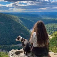 Meski tidak keramas dengan sampo ternyata rutinitas rambut Laura cukup banyak. Sekarang, rutinitas rambutku adalah menyisirnya sebelum mandi. Aku mandi dan mencuci rambut dengan tangan dan air, memijat kulit kepala untuk menstimulasinya lalu menyisir dengan sisir bergigi jarang. Setelah keluar, aku membungkus rambut dengan handuk selama satu setengah jam lalu memakai minyak argan atau rosemary, kata Laura.Foto: Instagram @veggieshredder