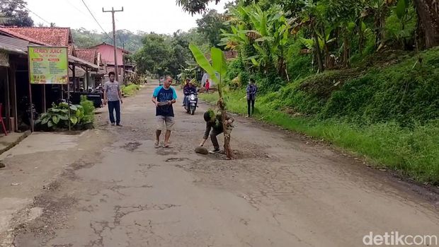 Mahasiswa dan warga Cianjur tanam pohon pisang di sepanjang jalan provinsi lantaran rusak parah.