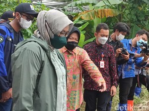 Risma Saran ke Ade Yasin: Tanah Kerukan Sungai Lebih Kuat dari Bronjong