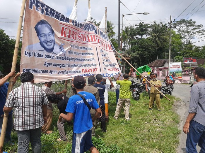 Muncul Puluhan Banner Keluhan Peternak Ayam Layer di Blitar