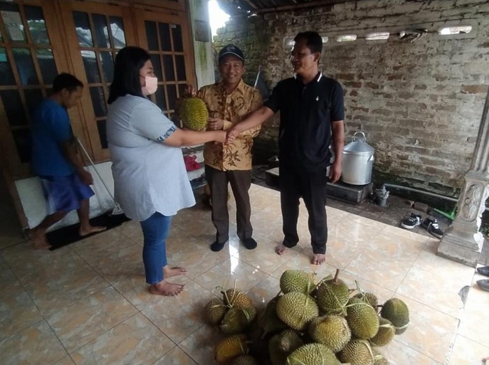 Pihak Pasar Wisata Cheng Ho, Pandaan, Pasuruan menemukan pembeli durian zonk yang viral beberapa waktu lalu. Kepala pasar, Wahyu Wibowo menepati janji memberi 50 durian gratis.