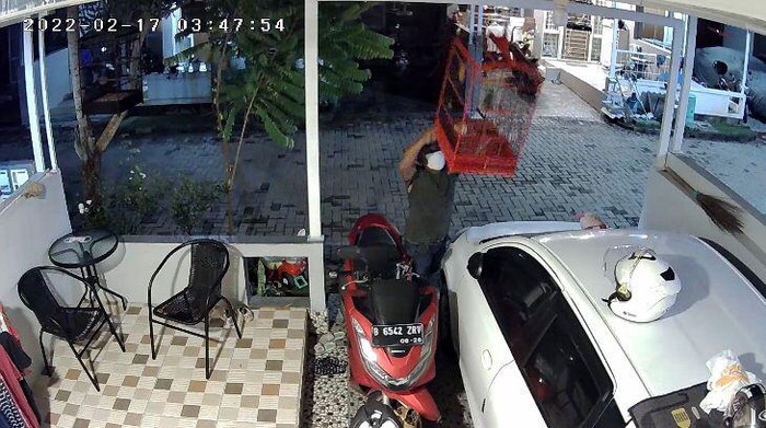 Pencurian burung di perumahan Depok (tangkapan layar)