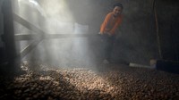 Pekerja merapikan biji kopi sesudah dipanggang di tempat pengolahan biji kopi tradisional Nagari Koto Tuo, Kecamatan Sungai Tarab, Kabupaten Tanah Datar, Sumatera Barat, Jumat (18/2/2022).
