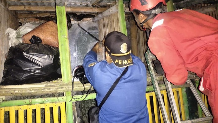 Petugas Damkar evakuasi ular sanca 4 meter di Bogor (dok. Istimewa)