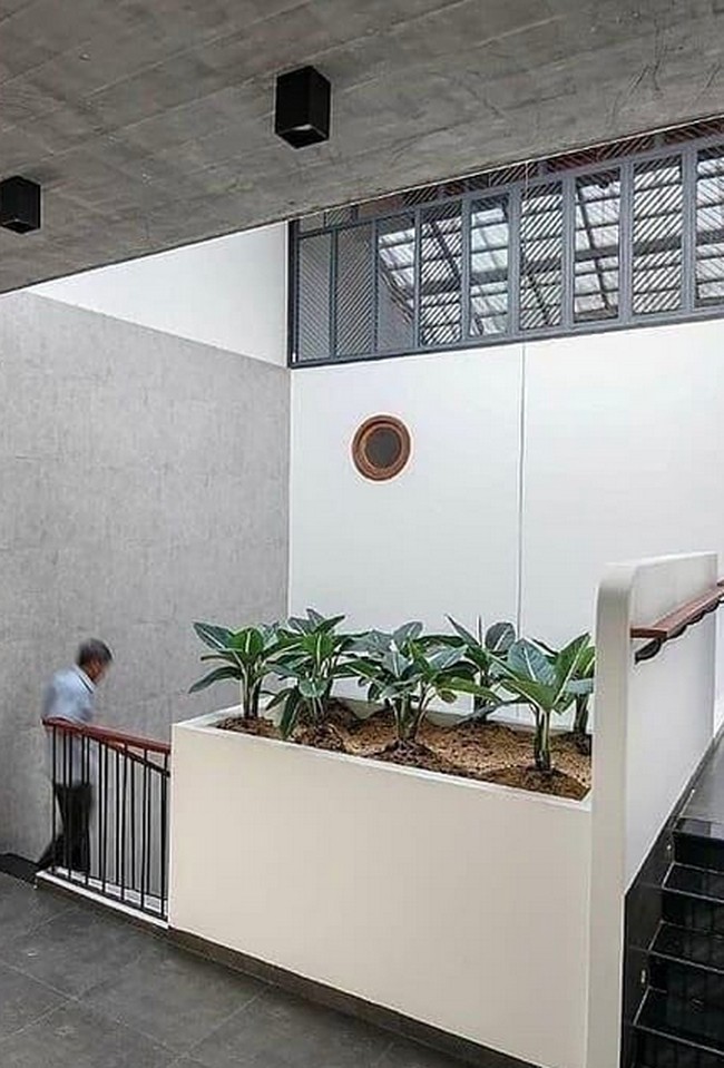 Rumah ini memang tidak memiliki lahan untuk taman. Namun, pemilik rumah memanfaatkan beberapa sudut untuk bercocok tanam. Seperti di lantai dua, tepatnya di pagar pembatas dekat tangga. Rumah pun terasa lebih hidup. (Foto: Instagram/@happynest.vn)