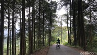 Datanglah pagi-pagi untuk menemukan hutan dingin berkabut dan  menghindari terik matahari. Setidaknya menghilangkan rasa sesal begitu sampai di puncak. 