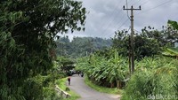 Pabangbon dikenal para pesepeda karena tanjakannya yang super pedas. Meski begitu, sebagian goweser mengaku kangen disiksa di tanjakan ini.