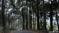 Salah satu tanjakan dengan gradien 15 persen. Pada foto kamera, tanjakan terlihat biasa. Namun di kondisi sesungguhnya, pesepeda  yang belum terbiasa atau belum pernah nanjak sepedas ini auto tuntun bahkan loading. 