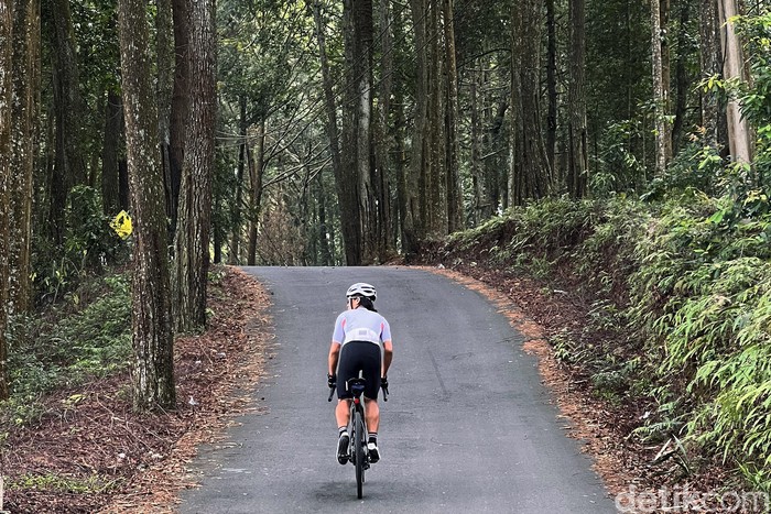 Nanjak tembok, brutal, jahanam, ga ada akhlak. Umpatan itu kerap terucap saat pesepeda mencoba jalur menuju hutan pinus Pabangbon, Bogor. Gradien mencapai 25 persen !