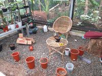 34 Tanaman Hias Dicuri di Depok, Kerugian Ditaksir Mencapai Rp 300 Juta