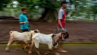 Tradisi Nyadran sudah dilakukan turun temurun.