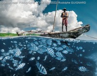 Underwater Photographer of the Year 2022