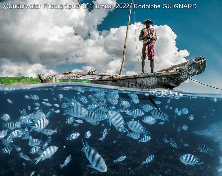 Underwater Photographer of the Year 2022