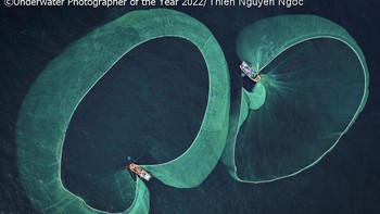Foto: Underwater Photographer of the Year