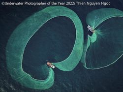 Karya Mencengangkan Juara Kontes Foto Underwater 2022