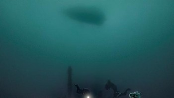 Foto: Underwater Photographer of the Year