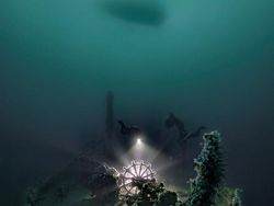 Karya Mencengangkan Juara Kontes Foto Underwater 2022