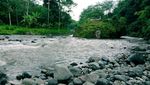 Mengenal Tangkup, Desa Wisata yang Unik di Bali
