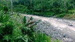 Mengenal Tangkup, Desa Wisata yang Unik di Bali