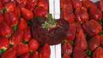 Wowww... Strawberry Ukuran Jumbo Ini Pecahkan Rekor Dunia