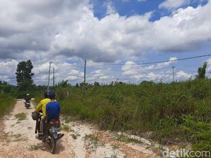 Ketua RW Ungkap RT Siluman di Hutan Produksi Kendari Hanya Dihuni 7 KK